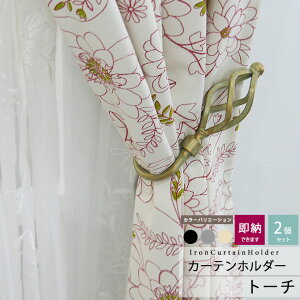 [SiP10{×3020`2H]ACA J[ez_[ ӂ ^bZ J[e J[eNbv/g[`/21g/ACAG G J[eANZT[ C-F-1