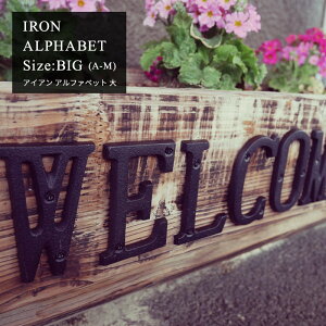 [Si10OFF×15N[|]ACAG ACA At@xbg ؂蕶 [A`M] TCY /\D Ŕ l[v[g EFJ{[h Vbv Be[W AeB[N K[