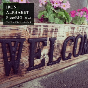 ACAG ACA At@xbg ؂蕶 [N`Z] TCY  \D Ŕ l[v[g p[c EFJ{[h Vbv Be[W AeB[N F쏊 K[fjO DIY