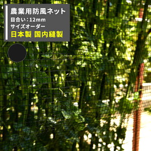 [SiP10{×3020`2H]hlbg _Ɨplbg 12mm TCYI[_[ `500cm×`800cm[ChbZ h c  _ _ | ƒ؉ AO agri Ռ ۉ ϋv {] JQ