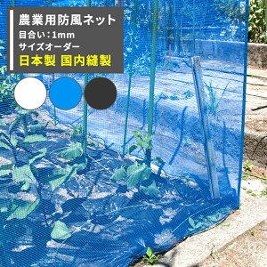 [SiP10{×3020`2H]hlbg _Ɨplbg 1mm TCYI[_[ `400cm×`400cm[ChbZ h c  _ _ | ƒ؉ AO agri Ռ ۉ ϋv {] JQ