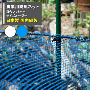 [Si11OFF×11/1N[|]hlbg _Ɨplbg 6mm TCYI[_[ `400cm×`500cm[ChbZ h c  _ _ | ƒ؉ AO agri Ռ ۉ ϋv {] JQ