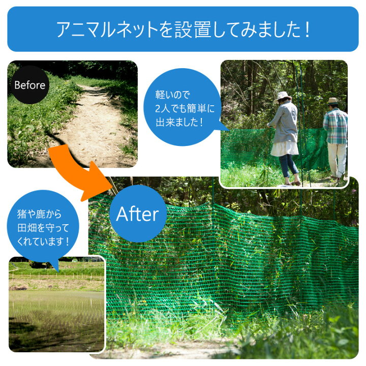 楽天市場】アニマルネット 防獣網 農業用ネット 20×25mm目 サイズ 