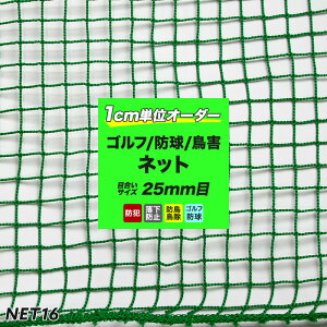 [Si10OFF×25N[|+P10{ 2520`4H]hlbg hlbg StlbgyNET16z25~ /301`400cm 301`400cm܂ 悯 g ΍ ObY }V x_mO[n /