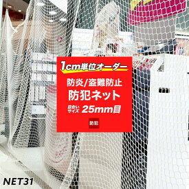 [全品11%OFF×1日限定クーポン]防犯ネット 盗難防止ネット 網 みまも～る 【NET31】 25mm目 幅501～600cm丈301～400cm サイズオーダー 閉店後 店舗 防犯対策 侵入防止対策 陳列棚 商業ビル テナントショップ バゲッジネット ホールドネット JQ