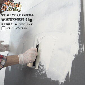 [�S�i�Ώ�10��OFF×15������N�[�|��]���� �ЂƂ�œh������ ������ 4kg �ΊD���Ǎ� �h�� �V�R�h��Ǎ� DIY �����d�グ�� �ǎ��̏ォ��h��� �V�� ���n �h�J�r �h��₷�� ���t�H�[�� ���m