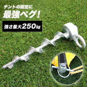 [Si10OFF×25N[|+P10{ 2520`4H]yO eg ̓yO Y AJ[ ג߃xgΉ^Cv/40m[J[inmCxg eg ݉c tLVuyO tyO] JQ