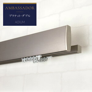 J[e[ ACA[ ADIUM AoT_[ _uuPbg [1`2m܂]  OWA[ l N[  @\ i @\ hCc `I C ze AMBASSADOR r