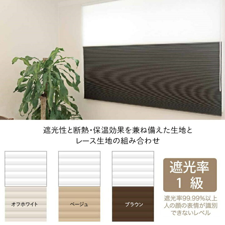 楽天市場】ハニカムシェード オーダー Bee Bee 遮光1級 ツイン 幅151〜180cm 丈91〜120cm ハニカムスクリーン 彩 フルネス 遮熱 断熱 保温 省エネ ブラインド スクリーン 彩 北欧 和風 日本製 おしゃれ インテリア JQ : カーテン インテリア DIY 窓際貴族 楽天市場】ハニカムシェード オーダー Bee Bee 遮光1級 ツイン 幅151〜180cm 丈91〜120cm ハニカムスクリーン 彩 フルネス 遮熱 断熱 保温 省エネ ブラインド スクリーン 彩 北欧 和風 日本製 おしゃれ インテリア JQ : カーテン インテリア DIY 窓際貴族