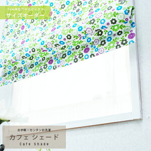 [SiP10{×2020`4Ԍ]lȃvg JtFVF[h TCYI[_[/Ё`50cm×101`200cm Iׂ鐶n150ވȏI[ς_ J[e[  J[e Xbg] OKC