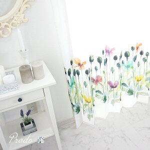 [Si10OFF×5N[|+P10{ 520`4H]AJ[e C|[gJ[e [XJ[e /vh/yYH949z101`200cm×`270cm m XyC GH ʉ敗n OKC5