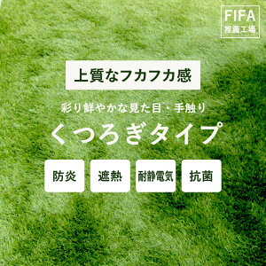 [Si11OFF×11/1N[|]lH [ 1×10m 40mm x_ tbgT }bg Ɩp ͂ A  TvL łGREEN 났^Cv JQ