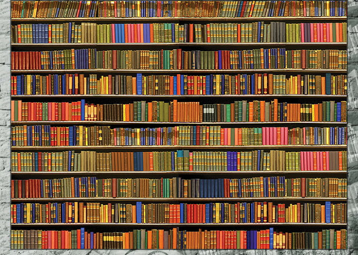楽天市場 壁紙 輸入壁紙 イギリスブランド 1wall W4p Bookshelf 002 Bookshelf002 本棚 インポート壁紙 デザイン おしゃれ 輸入 海外 クロス Diy リフォーム 撮影 背景 背景紙 店舗 装飾 インテリア 内装 友安製作所 Csz カーテン インテリア Diy 窓際貴族
