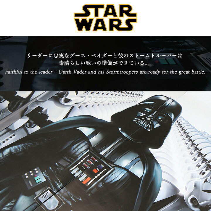 楽天市場 壁紙 輸入壁紙 インポート壁紙 スターウォーズ Starwars Starwars 粉のり付 おしゃれ クロス 紙 店舗 内装 撮影 ドイツ製 コマー Star Wars Imperial Force 8 490 友安製作所 Csz カーテン インテリア Diy 窓際貴族