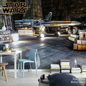 ǎ Aǎ C|[gǎ X^[EH[Y starwars STARWARS ̂t  NX  hCc X  Bep C rO gC  ͗lւ tH[ EH[y[p[ R}