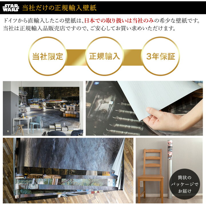 ポイント10倍日限定時 4時間 壁紙 シールタイプ 貼ってはがせる スターウォーズ ロゴ レトロ おしゃれ ドイツ製 Star Wars Typeface タイプフェイス Csz 年末年始大決算