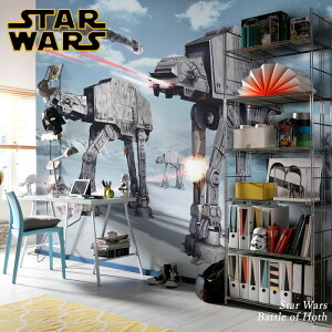 ǎ Aǎ C|[gǎ X^[EH[Y starwars STARWARS ̂t  NX  hCc X  Bep C rO gC  ͗lւ tH[ EH[y[p[ R}