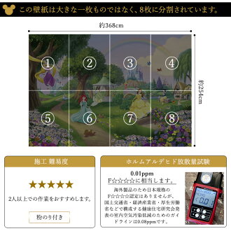 楽天市場 壁紙 輸入壁紙 インポート壁紙 ディズニー Disney Disney プリンセス ベル シンデレラ ラプンツェル 白雪姫 粉のり付 紙 おしゃれ クロス ドイツ製 店舗 内装 補修 リビング トイレ 玄関 リフォーム ウォールペーパー コマー Princess Rainbow 8 449 友安