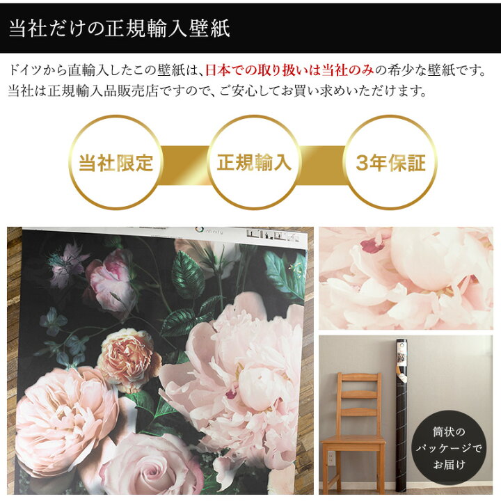 楽天市場 輸入壁紙 壁紙 のり付き おしゃれ クロス 紙 内装 撮影 ドイツ製 補修 クロス 店舗 内装 リビング トイレ 玄関 模様替え リフォーム 撮影用 ウォールペーパーピンク 薔薇 バラ ローズ 花 花柄 フラワー 植物 ヴィクトリアブラック 6035a Vd4 友安製作所 Csz