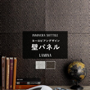 EH[pl  pl diy   pl Ǎ ǔ  Lb`pl R  h ǂɓ\ ǖʃpl h ω Cmx \eB[ ~i lamina C-F-3