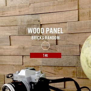 [SiP10{×3020`2H] pl Ebh^C   Ebhpl VR  Ǎ ^C diy  CeA 3D ʉ ǔ EH[pl ǖ  B ȒP F쏊 y 