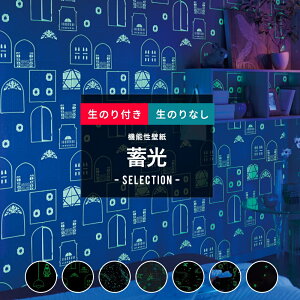 [SiP10{ 1020`4H]ǎ ̂t ̂Ȃ NX DIY   ÈłŌ   u    _   F f I[ fBYj[ V q LbY[ ̂