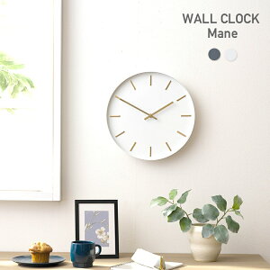 [SiP10{×2020`4Ԍ]v |v Ǌ|v  k AiO ݃J[  t`_ EH[NbN Mane[l mA[j C-F-1