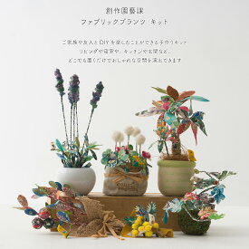 [全品10％OFF×25日限定クーポン+P10倍 25日20時〜4H]ファブリックプランツ 創作園芸科 手作りキットシリーズ クローバー ラベンダー モンステラ苔玉 ミモザ オリーブ パキラ ハンドメイド 手芸 かわいい おしゃれ 布 リバティ 観葉植物 H-N-0