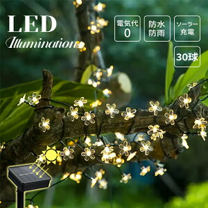 C~l[V led 30 \[[Cg _ ZT[ z [d    O I[ig  C~l[VCg      K[f  Ebh