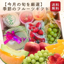 フルーツギフト 果物 詰め合わせ【即日発送】2月限定 3種類 / 5種類 /7種類 セット果物 フルーツ 盛り合わせ 送料無料 フルーツセット お任せセット 取り寄せ お取り寄せ 法要 法事 誕生日 高級 お供え お見舞い お祝い ギフト 盛り 旬