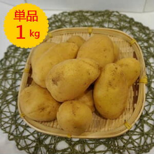 yYzPi@Ⴊi[NCj1kg V
