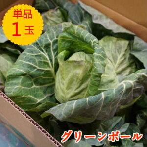 【単品 グリーンボール】 1玉 クール便