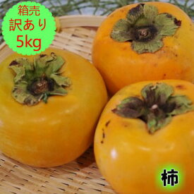 訳あり 送料無料【九州産】柿 富有柿 1箱 5kg訳あり柿 福岡 佐賀 産 柿 品種 産直 直売 産地直送 通販 お取り寄せ グルメ 箱買い 箱売り まとめ買い 業務用 お得 お買い得 人気 口コミ フルーツ 果物 旬 収穫 摘果 時期 美味しい 甘い 糖度 敬老の日