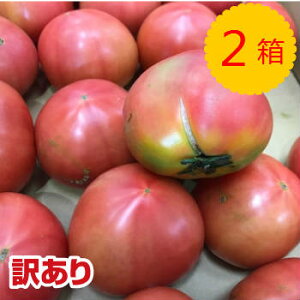 󂠂i yBYz g}g 2 ڈ4kg×2 N[ Y {Y  F{ 啪 Y Bi  t[hX ܂Ƃߔ   Ɩp e  pbN x 