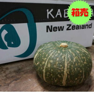 かぼちゃ 10kgの通販 価格比較 価格 Com