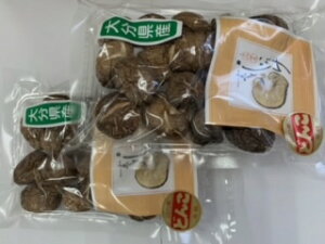 啪Y  R̍Kiǂ񂱁j40g lC b R~ N`R~ LO   O i ʔ   hV̓