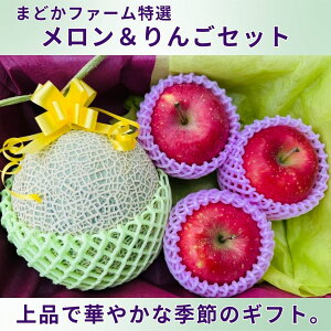  1  3 Zbgy܂ǂt@[IZbgz N[ցyz   TCY {Y  A[X T ӂ _ _ Yn   Y ʔ 