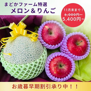 Ε   1  3 Zbgy܂ǂt@[IZbgzyz   TCY {Y Ε  A[X T ӂ _ _ Yn   