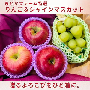 VC}XJbg 1pbN  3 Zbgy܂ǂt@[IZbgzN[   TCY {Y BY }XJbg T ӂ _ _ Yn   Y 