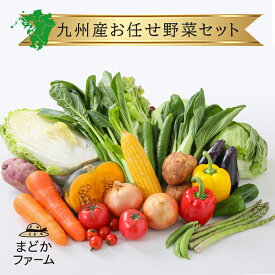 クール便 送料無料 九州産 旬の野菜 お任せ 詰め合わせ セット 1箱 20品野菜 送料 お試し 一人暮らし お取り寄せ 取り寄せ 宅配 新鮮 産地 直送 産直 直売 農家 農園 おすすめ 人気 口コミ 評価 レビュー レシピ お徳用 まとめ買い 割引