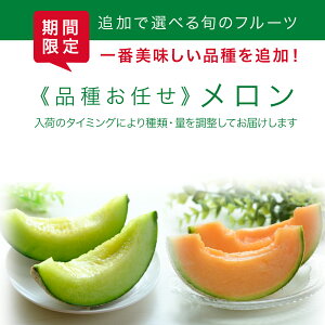 y؃ZbgzBY N[   11 {̖ C lߍ킹 ǉIׂ Zbg 1 10 / 1pbN 6/t[c()    