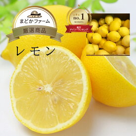 レモン 単品 3個入り / 箱売 1箱 8kg / 箱売 1箱 17kg 送料無料フルーツ れもん 檸檬 業務用 少量 自宅用 果物 柑橘 箱買い 箱売り まとめ買い お取り寄せ 通販 大量 大容量 お買い得 お徳用 まとめ買い 海外産 外国産 品種 種類 値段 価格