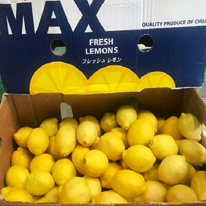 レモン 単品 3個入り / 箱売 1箱 8kg / 箱売 1箱 17kg 送料無料フルーツ れもん 檸檬 業務用 少量 自宅用 果物 柑橘 箱買い 箱売り まとめ買い お取り寄せ 通販 大量 大容量 お買い得 お徳用 まとめ