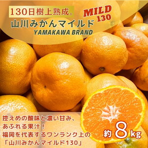 yYzR݂}Ch 8kg ~J 8L  B {   Y  ܂Ƃߔ P[X Yn  Y _ _ ʔ  Ε R~ lC  x