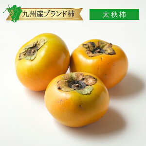 yBYzH` イ   1 5kg H i uh 5L   Yn  Y   ʔ   lC  O L i   