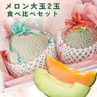 メロン【赤肉・青肉 計2玉】大玉 サイズ 食べ比べ セット 送料無料 贈答用 お祝い お見舞い クインシーメ…