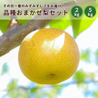 品種おまかせ【 梨 セット 】1箱 約 2kg 3〜5玉 / 約 5kg 8〜12玉 中 大 サイズ 中玉 大玉 お取り寄せ グ…