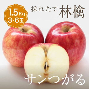 Pi  T 1 ڈ1.5kg 3`6ʓÌy   l ƒp p Hׂ Zbg ʕ {Y Y   Â x  O Mtg v[g p 