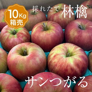 yz  T 1 ڈ10kg 28`40ʓÌy 1    ܂Ƃߔ Zbg t[c ʕ {Y Y  Â x  O Mtg v[