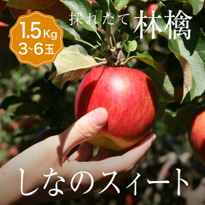 単品 りんご しなのスイート 1箱 目安1.5kg 3〜6玉入り個 少量 個人 自宅用 食べきり セット フルーツ 果物 日本産 国産 美味しい 甘い 糖度 お取り寄せ グルメ ギフト プレゼント 贈答 品 お供
